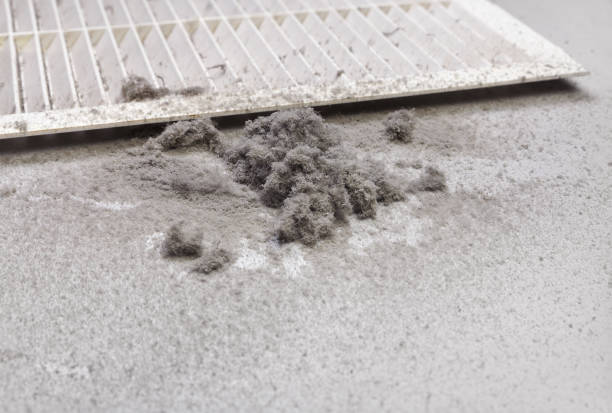 Best Home Air Vent Cleaning  in Elko, NV