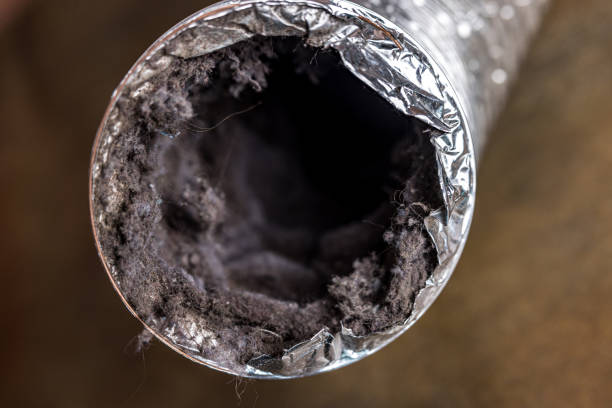 Best Residential Air Duct Cleaning  in Elko, NV