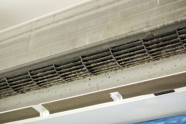 Best Affordable HVAC Duct Cleaning  in Elko, NV